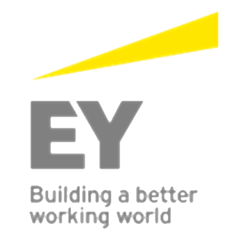 Company Logo - Cyber People Partner